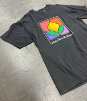 Make Plain The Vision Shirt