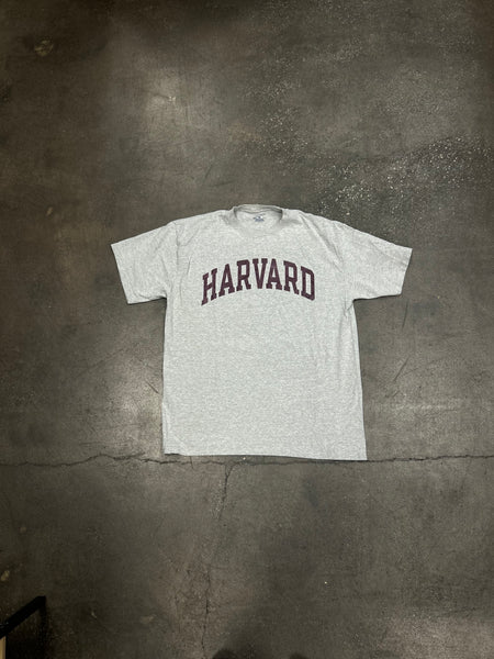 Harvard Shirt