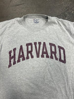 Harvard Shirt