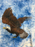 Eagle Nature Shirt