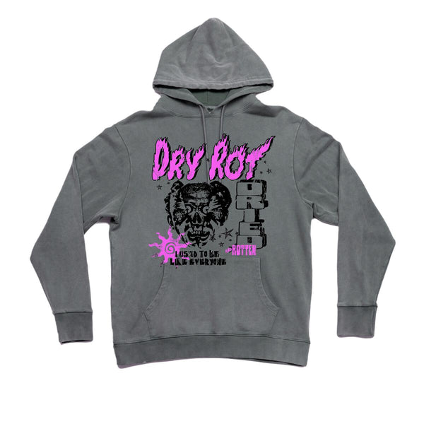 DRY ROT EVERYTHING HOODIE VINTAGE GREY