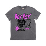 DRY ROT EVERYTHING TEE VINTAGE GREY